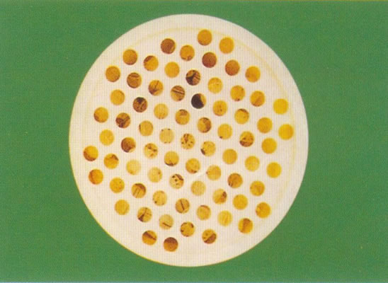 HWT-1��̬������